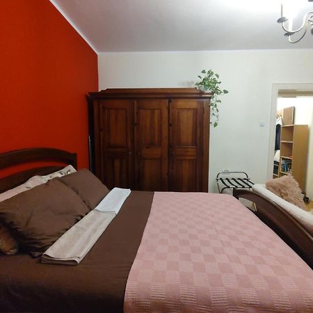 Bgholik Studio Apartment 贝尔格莱德 外观 照片
