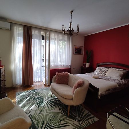 Bgholik Studio Apartment 贝尔格莱德 外观 照片