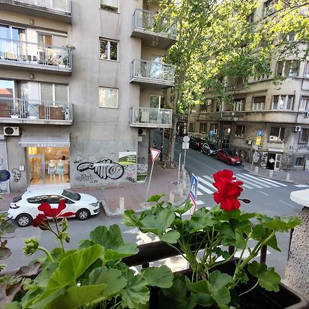 Bgholik Studio Apartment 贝尔格莱德 外观 照片