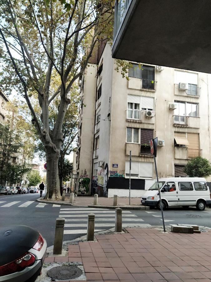 Bgholik Studio Apartment 贝尔格莱德 外观 照片