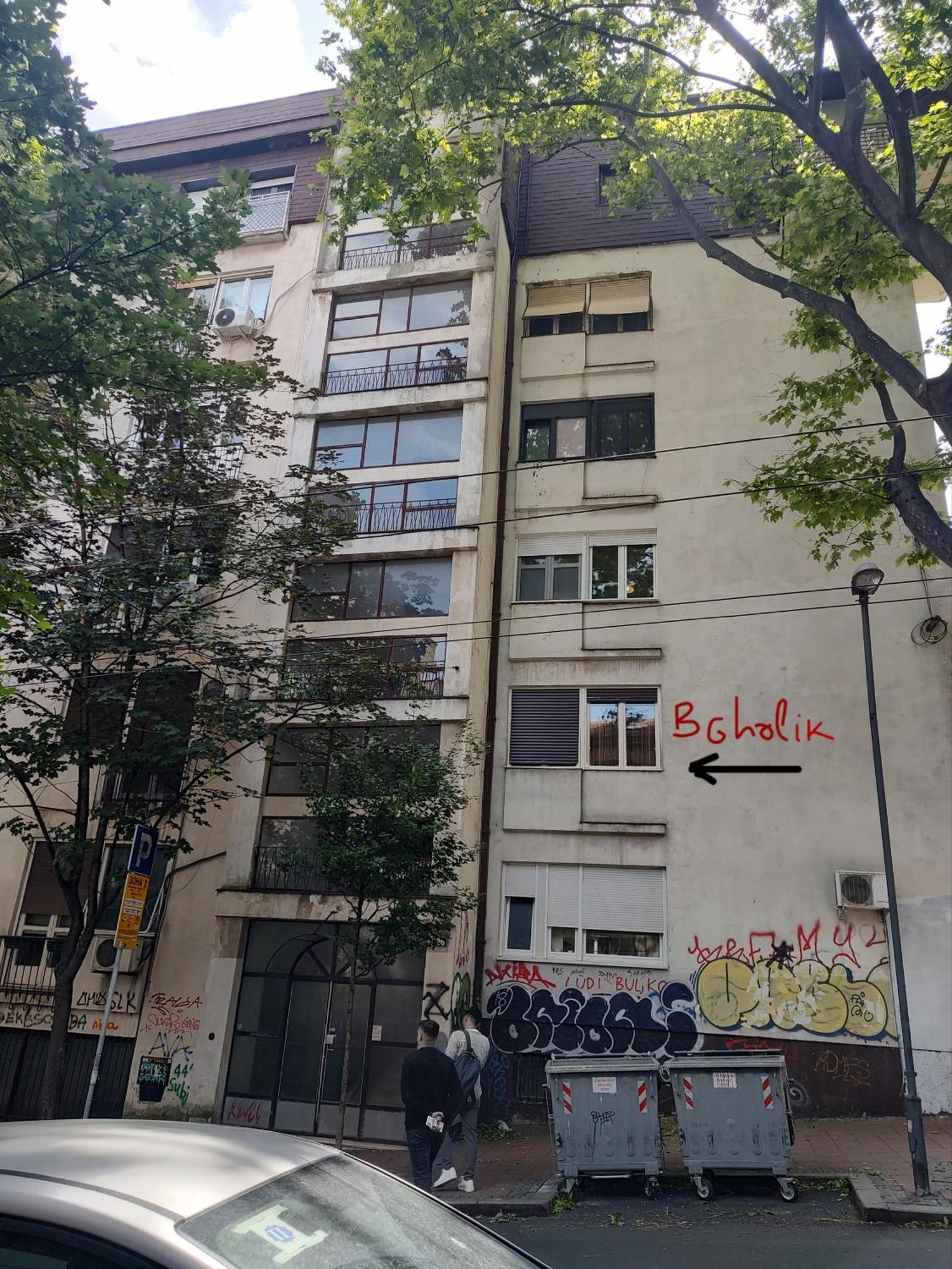 Bgholik Studio Apartment 贝尔格莱德 外观 照片