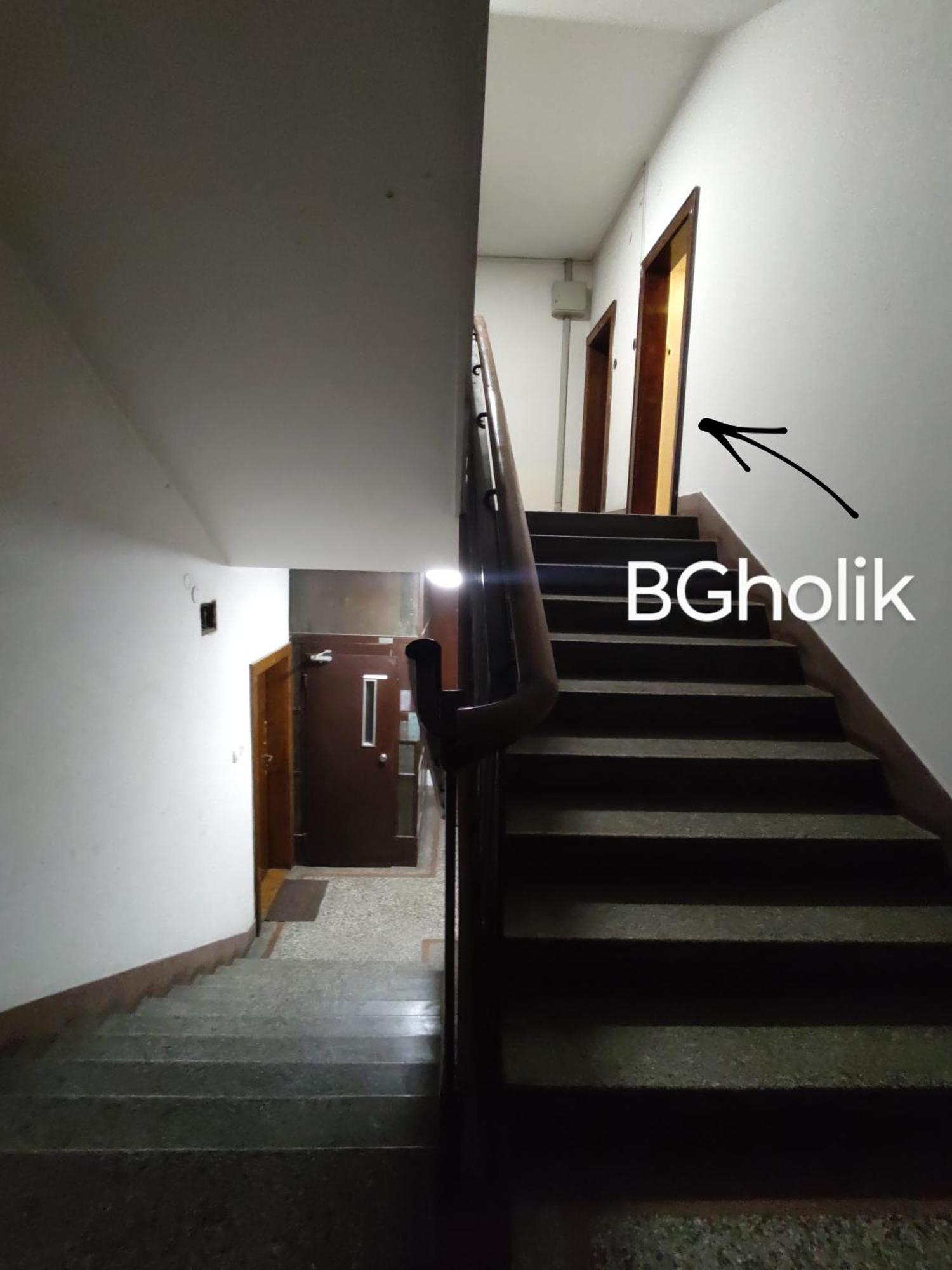 Bgholik Studio Apartment 贝尔格莱德 外观 照片