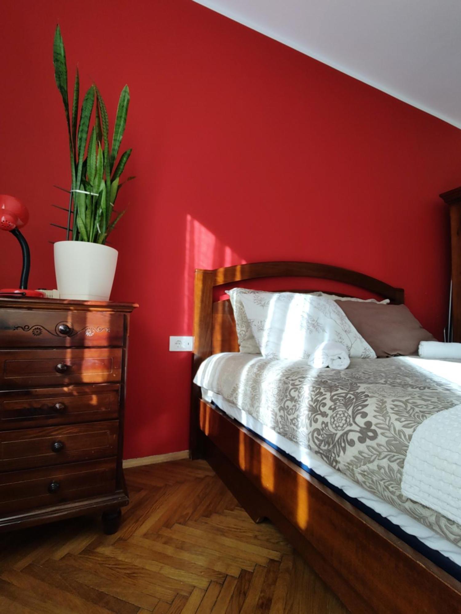 Bgholik Studio Apartment 贝尔格莱德 外观 照片