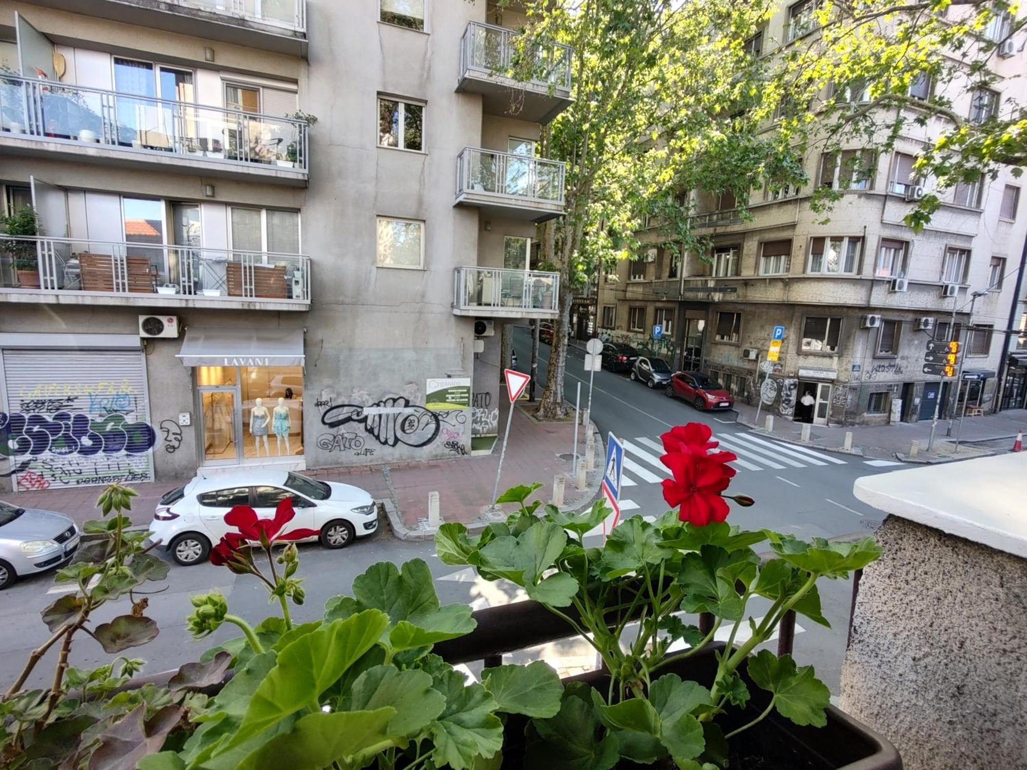 Bgholik Studio Apartment 贝尔格莱德 外观 照片